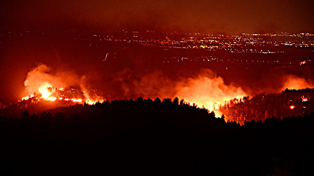 השריפה בהרי ירושלים (צילום: מיקי טוטנאור) (צילום: מיקי טוטנאור)