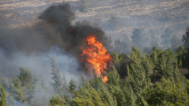 השריפה באזור ירושלים, 24.11.16 (צילום: אוהד צויגנברג) (צילום: אוהד צויגנברג)