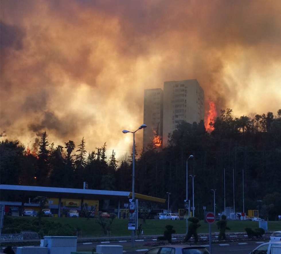 האש ברחוב אורן ברוממה החדשה (צילום: אביתר אלקובי) (צילום: אביתר אלקובי)