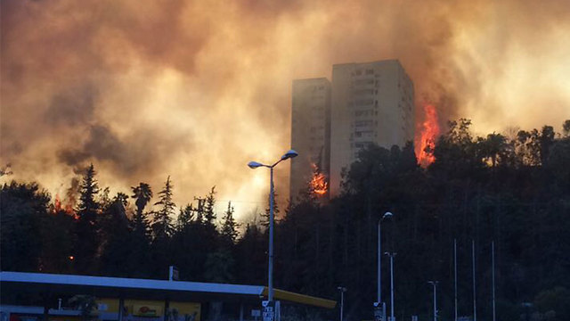Apartment building ablaze in Haifa (Photo: Evyatar Alkobi) (Photo: Evyatar Alkobi)