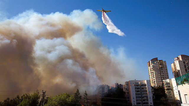 השריפה בחיפה. תושבים שפונו מוזמנים ליישובים הערבים (צילום: AP) (צילום: AP)