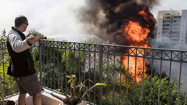 השריפה בחיפה ב-2016 (צילום: AFP) (צילום: AFP)