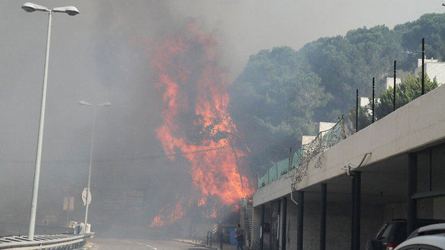 כבאים מנסים להשתלט על השריפה בדרך פרויד בחיפה (צילום: זהר שחר) (צילום: זהר שחר)