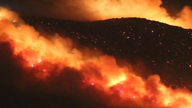 Fire that raged in Nahf near Karmiel (Photo: Tomer Badash)