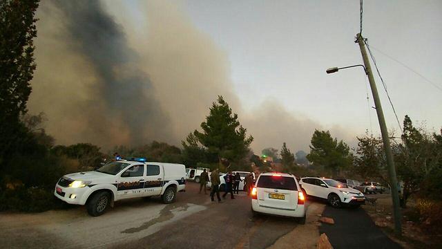האש בנטף, היום אחר הצהריים (צילום: כבאות והצלה ירושלים) (צילום: כבאות והצלה ירושלים)