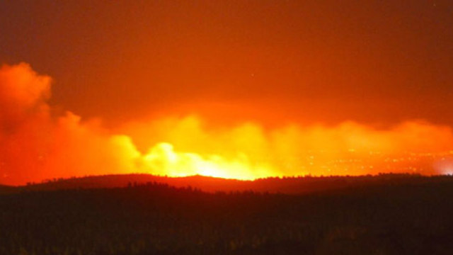 שריפה ליד מעלה החמישה (צילום: זיו נבו) (צילום: זיו נבו)