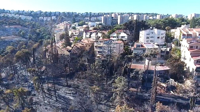 2,800 דונם עלו באש בחיפה (צילום:אילן ברששת Ilan Barsheshet) (צילום:אילן ברששת Ilan Barsheshet)