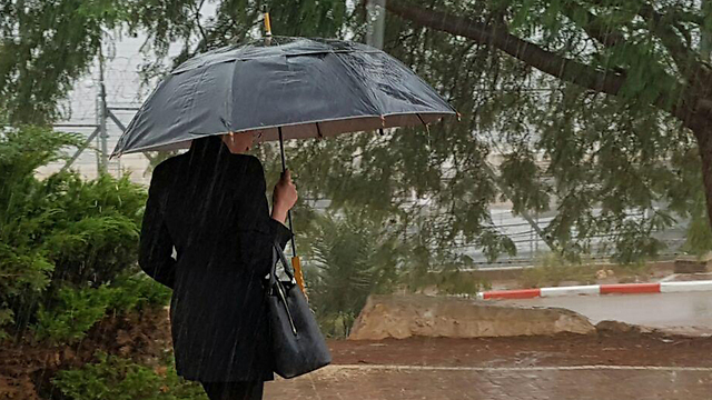 Rain in the Lower Galilee (Photo: Ido Erez)