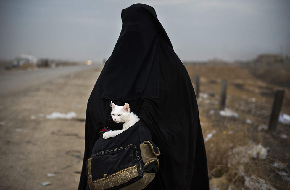 פליטה עיראקית שנעקרה מבית לא שוכחת מאחור את החתולה שלה, לולו, ליד העיר מוסול (צילום: AFP) (צילום: AFP)