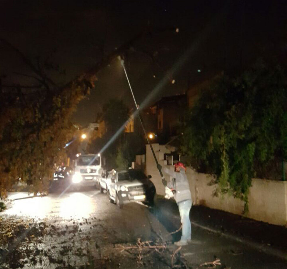 עץ שקרס מהרוחות בירושלים (צילום: חברת החשמל) (צילום: חברת החשמל)