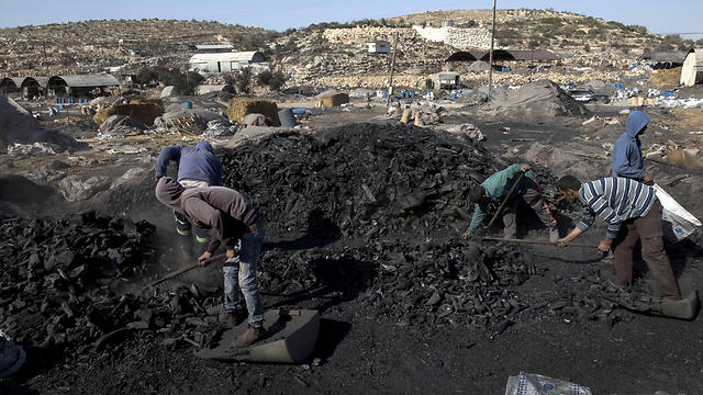 Palestinian laborers work at the site of a charcoal factory in Yabed (Photo: AP)