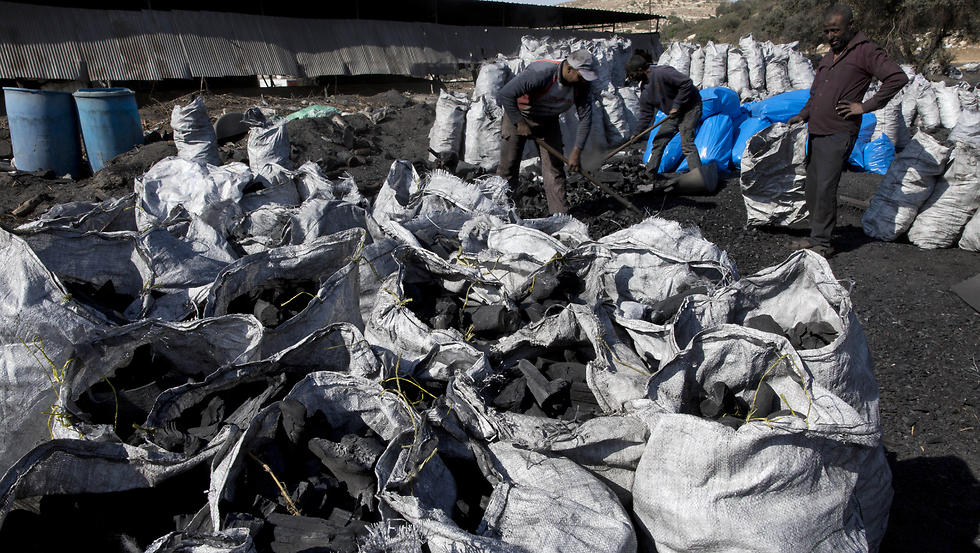 Palestinian laborers work at the site of a charcoal factory in Yabed (Photo: AP)