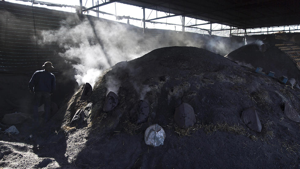 Palestinian works at charcoal plant in Yabed (Photo: AP)