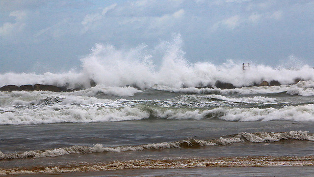 גועש בחוף תל אביב (צילום: דנה קופל) (צילום: דנה קופל)