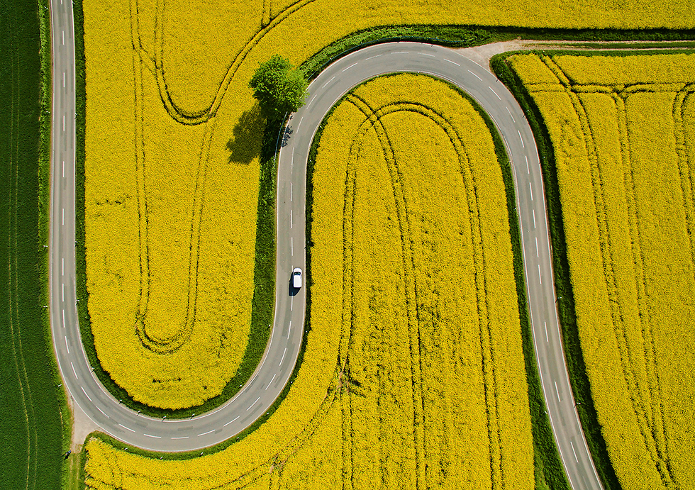 A car drives through a field in Germany (Photo: AP)