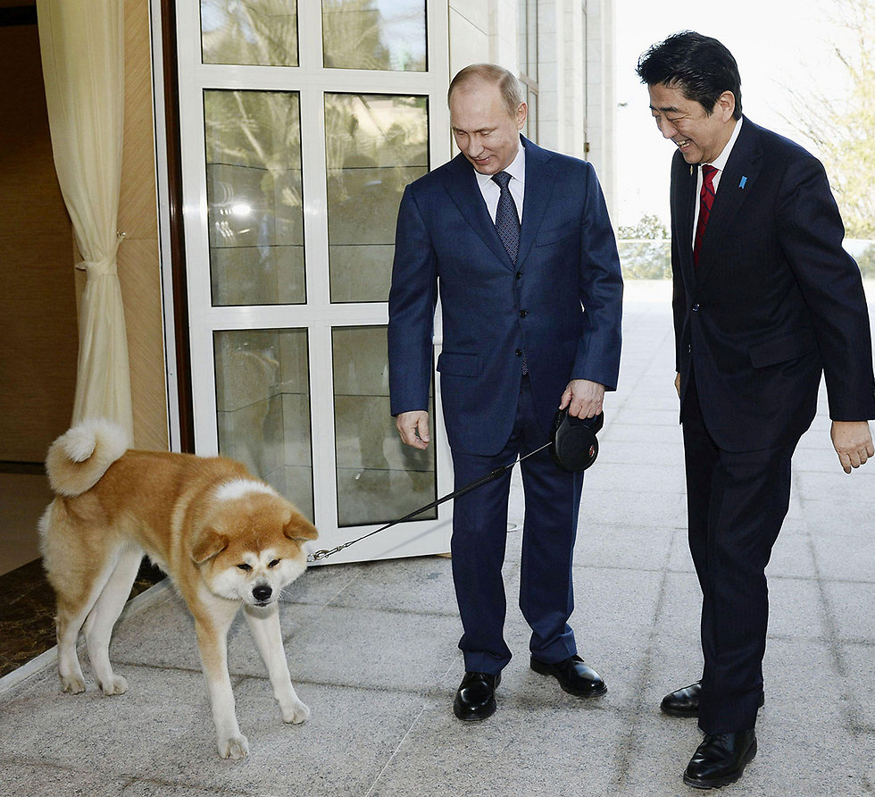 פוטין, אבה והכלבה יומה שהעניקו היפנים לנשיא הרוסי לפני ארבע שנים (צילום: רויטרס) (צילום: רויטרס)