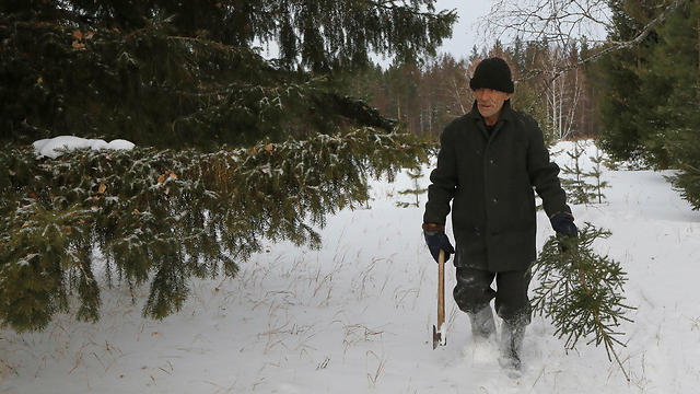 אחרי כריתת עץ בטיול בשלג (צילום: רויטרס) (צילום: רויטרס)