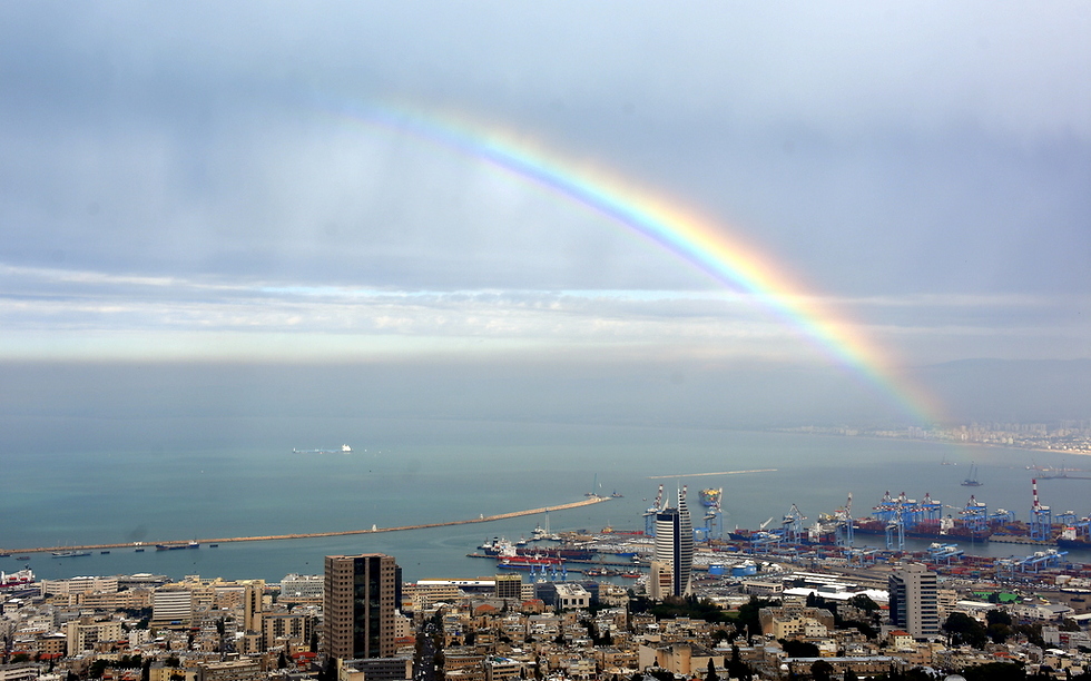חיפה (צילום: מונט גלפז) (צילום: מונט גלפז)