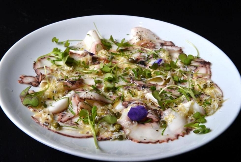 צילום: תמר מצפי