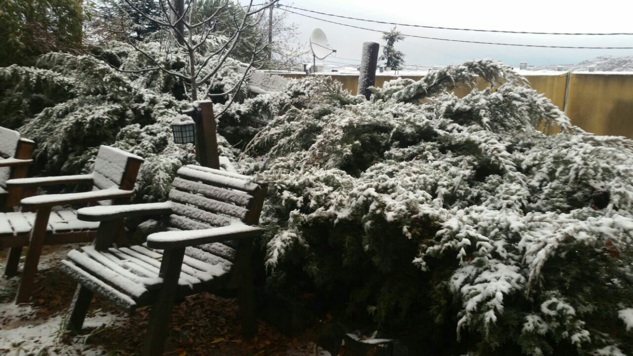שלג בנמרוד (צילום: לילך אשתר) (צילום: עמיחי זליגר) (צילום: עמיחי זליגר)