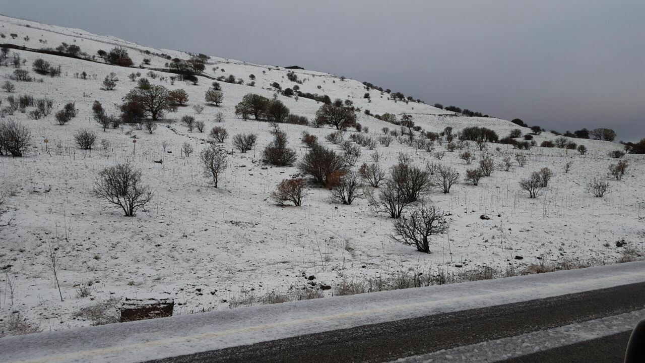 שלג בהר אביטל בצפון רמת הגולן (צילום: עמיחי זליגר) (צילום: עמיחי זליגר)