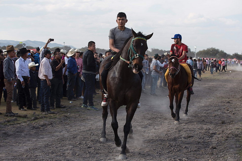 מרוץ החובבים במכסיקו. הרוג ופצוע (צילום: AFP) (צילום: AFP)