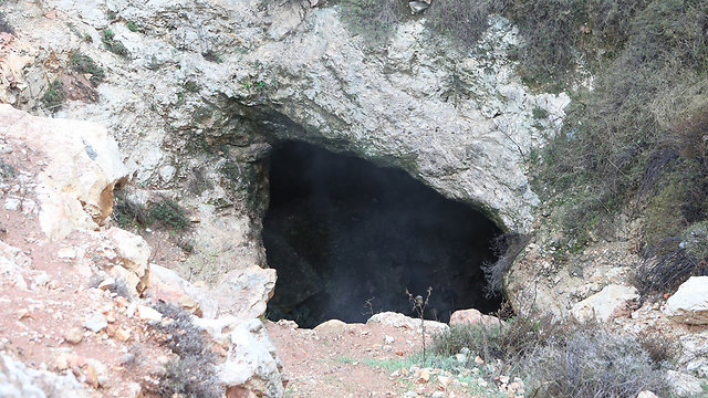 מוחבאת מהציבור. המערה באזור התעשייה עטרות (צילום: אלכס קולומויסקי) (צילום: אלכס קולומויסקי)