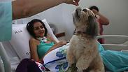 מחקרים מצביעים על תרומתם של כלבים לשיקום חולים