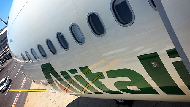 אל תנסו לנפץ את חלונות המטוס (צילום: Alitalia) (צילום: Alitalia)