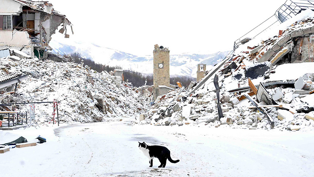 העיירה אמטריצ'ה במרכז איטליה, שנחרבה ברעש אדמה, מכוסה בלבן (צילום: AP) (צילום: AP)