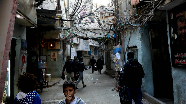 במחנה הפליטים שתילא בלבנון (צילום: AFP) (צילום: AFP)