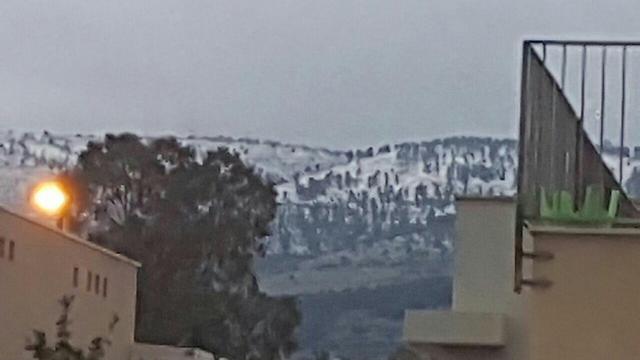 גם הרי צפת משובצים לבן (צילום: דודו פיניאן) (צילום: דודו פיניאן)