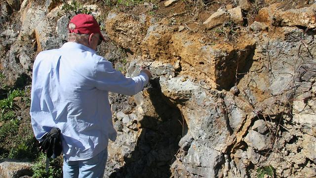אחד החוקרים בודק את הסלעים (איור: אוניברסיטת וויטווטרסנד) (איור: אוניברסיטת וויטווטרסנד)