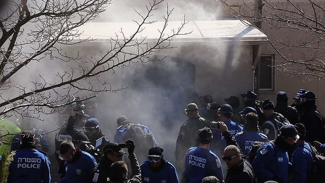 צילום: גיל יוחנן