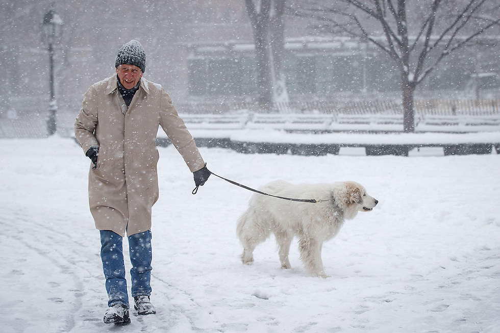 לא מוותרים על טיול עם הכלב גם בשלג (צילום: AFP) (צילום: AFP)