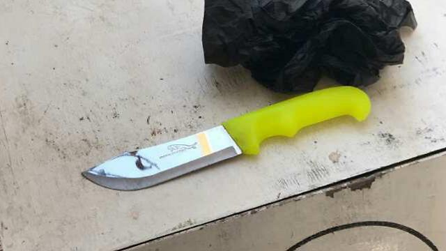 The terrorist's knife (Photo: Israel Police)