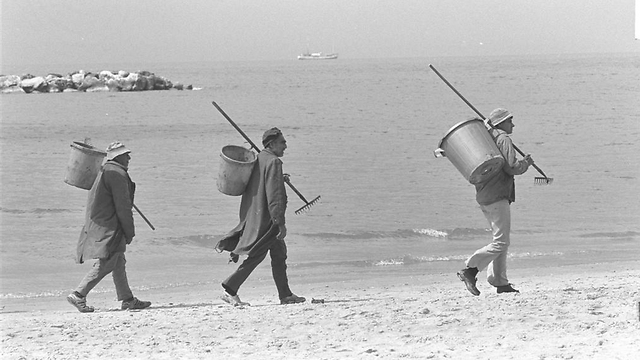 עובדי ניקיון בחוף תל אביב בדרכם לעבודה (צילום: חנניה הרמן, לע"מ) (צילום: חנניה הרמן, לע