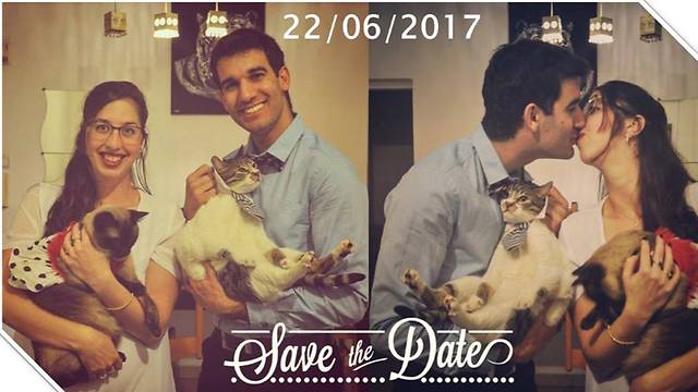 אפילו ה-Save the date שלהם כלל את החתולים (צילום: אור אריאלי) (צילום: אור אריאלי)