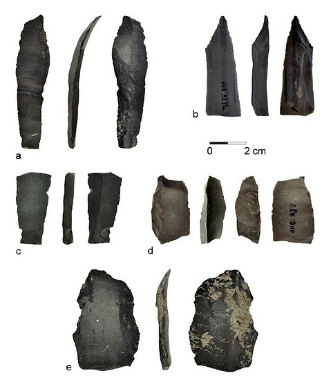 להבים שבהם השתמשו לפני 23 אלף שנה באזור הכנרת (צילום: באדיבות איריס גרומן-ירוסלבסקי ודני נדל)