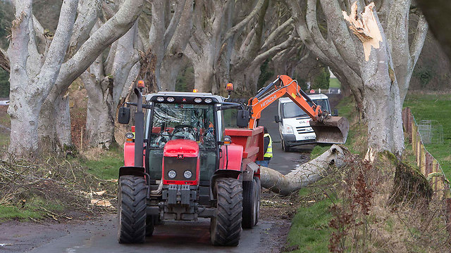 שברי עצים ב"דארק הדג'ז" בצפון אירלנד. כיכבה ב"משחקי הכס" (צילום: AP) (צילום: AP)