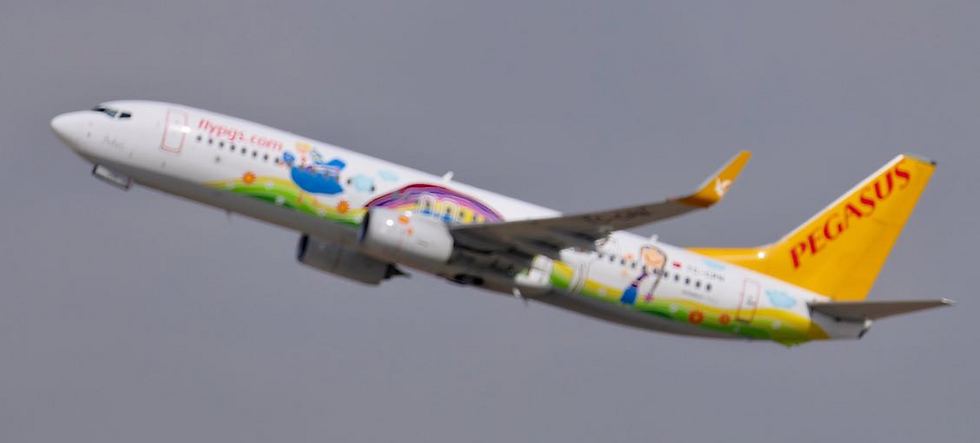 המטוס ועליו ציור הילדים הזוכה ממריא מישראל (צילום: דני שדה) (צילום: דני שדה)