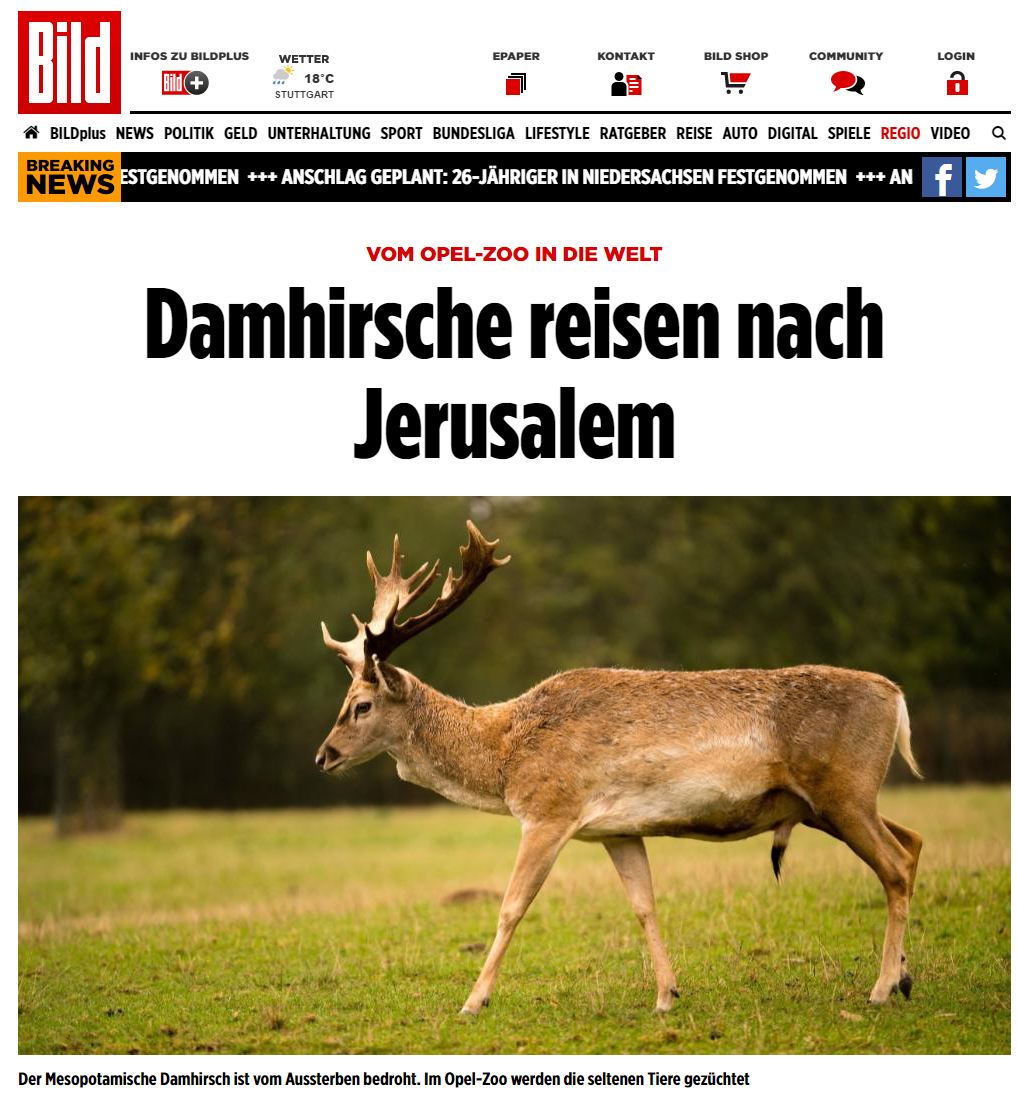  (מתוך אתר החדשות הגרמני Bild) (מתוך אתר החדשות הגרמני Bild)