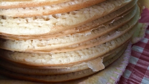 צילום: לין לוי