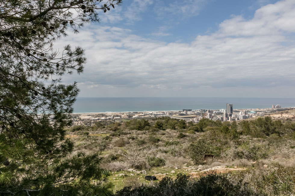 מבט מהגבעה אל חוף הים. "יש בחיפה 4,500 דירות נטושות, אוכלוסיית העיר לא גדלה, אז בשביל מה צריך את השכונה החדשה?" שואל אחד מפעילי העמותה (צילום: אינסה ביננבאום)