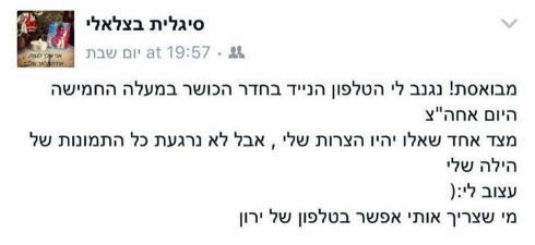 תמונה כללית