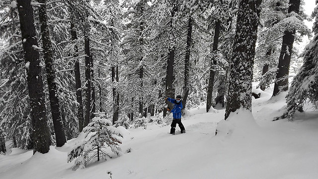 אתר הגלישה הבולגרי "בנסקו". 110 ס"מ שלג כבר עכשיו ()