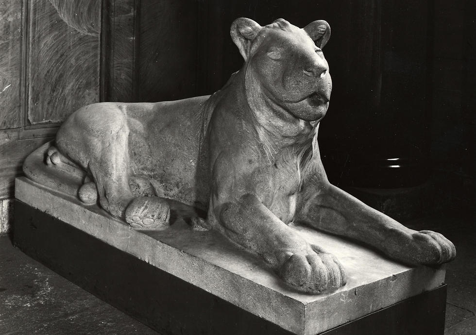 The sculpture 'Lying Lion' by August Gaul, part of the Mosse collection (Photo: AP)
