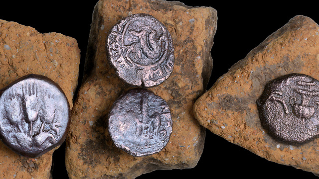 The ancient coins that were discovered in the excavation (Photo: Clara Amit, courtesy of IAA)
