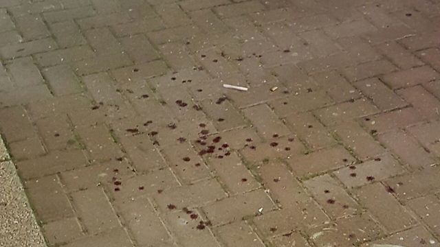 Следы крови на месте драки. ФОто: Барак Хаклай