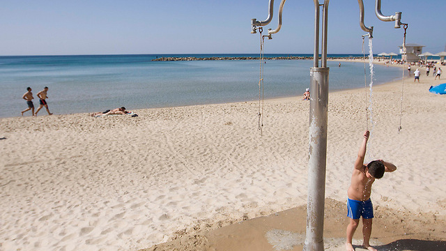 בחוף סירונית בנתניה  (צילום: עידו ארז) (צילום: עידו ארז)